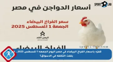 قفزة بأسعار الفراخ البيضاء في مصر اليوم الجمعة 1 أغسطس 2025.. كم بلغت التكلفة في الأسواق؟